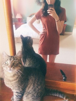 babycatlaura:  Little rascal wants to be in the pic.   And why not it&rsquo;s as beautiful as it&rsquo;s owner I&rsquo;d want some tumble time too&hellip;