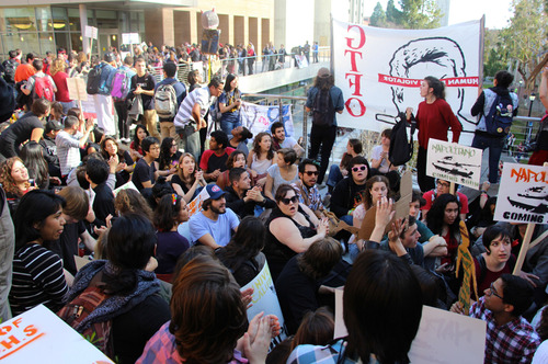 Students protest at the University of California