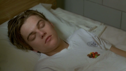 faerifloss:  tarrotcard:  fox-y:  glowist:  wouv:  c0ralpearl:  Bby  I have a crush on him since I was 6, oh my  look at the m&amp;ms/skittles on his chest omfg i wanna marry him  Can i kiss u  I do the same thing with my boobs, hold food  Aw leo bby