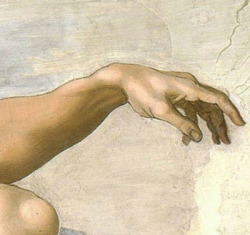 goodreadss:  Michelangelo, Creation of Adam