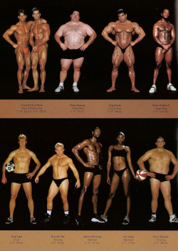 thedragonflywarrior:  thedragonflywarrior: The Body Shapes of the World’s Best Athletes Compared Side By Side  Health and fitness comes in all shapes and sizes. Every single one of these athletes is a certified bad-ass. 