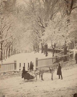 heaveninawildflower:  &lsquo;Snow Scene on the Northeast Corner of the Boston Common&rsquo; (circa 1875). Albumen print by Josiah Johnson Hawes (1808–1901). Image and text courtesy MFA Boston.  