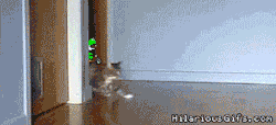 draco702:   preludioenmimenor:   Super Mario Cat   OMG I NEEDED THIS  