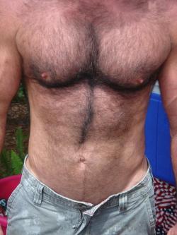 lookstwice:  HOLY SHIT!!! This guy Is so HOT!!  Awesome hairy Dad torso.