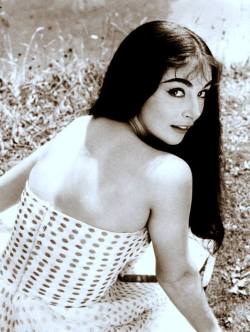 annapierangeli:  Actress Pier Angeli in the 1960s