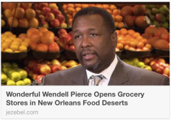 because-blackgirls-duh:  sweetest-tab00:  hersheywrites:  seemeflow:Wendell Pierce, AKA the bunk, AKA the best actor and possibly best person alive, launched Sterling Farm/s, a chain of GROCERY and convenience stores in the food deserts of his hometown
