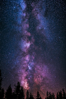 wolverxne:  Milky Way at Yosemite - by: [Michael Scott] 