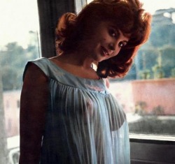 nipplebank:Tina Louise. Ginger or Mary Ann? Right now I’d say Ginger for sure.