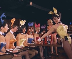scott-peterson:  A Playboy Bunny is a waitress at the Playboy Club. The Playboy Clubs were originally open from 1960 to 1988. Bunnies wore a costume called a “bunny suit” inspired by the tuxedo-wearing Playboy rabbit mascot, consisting of a corset,