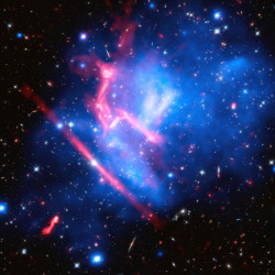 just–space: Frontier Fields Galaxy Cluster MACS J0717 : Frontier Fields galaxy cluster MACS J0717, one of the most complex and distorted galaxy clusters known, is the site of a collision between four clusters. It is located about 5.4 billion light years
