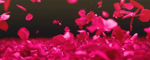 Las doce rosas rojas | muro interactivo. - Página 4 Tumblr_msklphinl81r22fuuo1_500