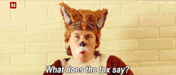 iloveeverythingwaytoomuch:  oliveswind:  Ylvis, asking the important questions. [1 2 3]  The guy does a whole song about the meaning of Stonehenge and we obsessed with ‘what does the fox say’????