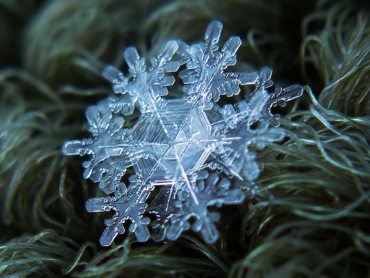 fotos impressionantes de cristais de gelo - ainanas.com