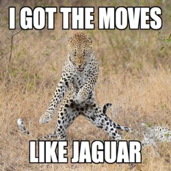 9gag:  He’s got the moves like jagger.