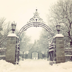 uchicagoadmissions:  Today is a winter wonderland in Chicago. Pictured above: The gate to the snow queen’s palace (or the Reg) Photo credit: June H. ‘15 