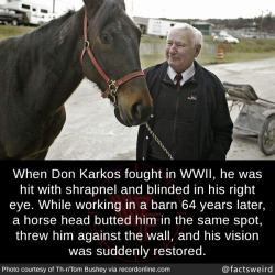 mindblowingfactz:When Don Karkos fought in WWII, he was hit with shrapnel and blinded in his right eye. While working in a barn 64 years later, a horse head butted him in the same spot, threw him against the wall, and his vision was suddenly restored.