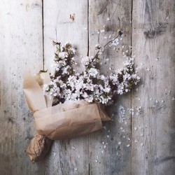 floralls:    by  nonihana_   