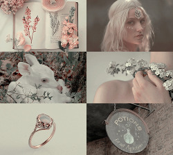 koalofrp:w i t c h e s  :  modern healers (or white witch) Young girls with strong magic and the will of the good thrumming through their veins. Healers, or white witches, use their powers with the best of intentions. Herbs, potions, and remedies litter
