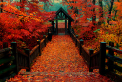 bluepueblo:  Autumn Arch, Milwaukee, Wisconsin photo by Indy Kethdy 
