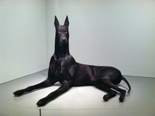 b-luesheep:

wrra1th:

"Dog" by Peter Coffin (2012) photo by me. This was HUGE in person, we were all shocked when we walked in and saw it staring at us.

我非常想妳
