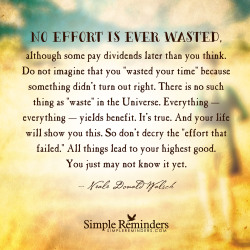 mysimplereminders:  “No effort is ever wasted, although some pay dividends later than you think. Do not imagine that you &ldquo;wasted your time” because something didn’t turn out right. There is no such thing as “waste” in the Universe. Everything