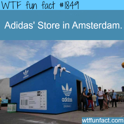 wtf-fun-factss:  Adidas Store in Amsterdam - WTF fun facts jk guys, It’s Shaq’s Shoe Box.