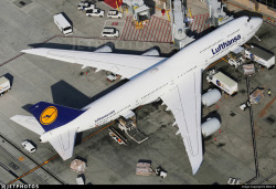 aviationgreats:  Top down view of a Lufthansa Boeing 747-8i at LAX