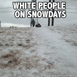 madeupmonkeyshit:  White people on snowdays vs Black people on snowdays 