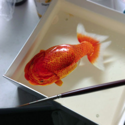 raggedick:  radical-illusion:  pettyartist: f-a-g-i-n-a:   Keng Lye - Alive without Breath (2013) - Hyperrealistic sea animals created using acrylics and epoxy resin, layer by layer  what  I will reblog this artist’s works every time it comes on my
