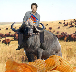 sashaforthewin:  bonerstew:  Mark Ruffalo, eating Ruffles on a Buffalo  You’re my favorite artist