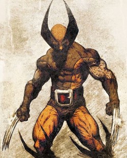 nomoremutants-com:  The best Wolverine Costume  Download images at nomoremutants-com.tumblr.com  Key Film Dates Marvel- * Thor: Ragnarok: Nov 3, 2017 * Black Panther: Feb 16, 2018 * New Mutants: Apr 13, 2018 * The Avengers: Infinity War: May 4, 2018 *