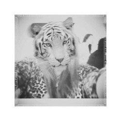 Roar. #girl #me #tigerface #instapic #instaphoto #picoftheday #meow #rawr #animal #cool #cute #animalface