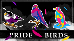 magicalshopping: ♡ Pride Birds Enamel Pins ♡ Available in bi, pan, and ace, as these were the most requested. First stretch goal is at 񘒀 and it’ll be voters choice which sexuality/gender will be available next. Kickstarter ends August 15th.