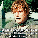 ianmckellen:  lotr meme: nine characters (5/9) → Samwise Gamgee &ldquo;You’ve left out one of the chief characters, Samwise the Brave. I want to hear more about Sam. Frodo wouldn’t have got far without Sam.&quot;  