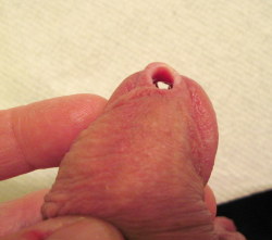 My piercing&ndash;naked.  The hole&rsquo;s at least 3/8&quot; in diameter, and you can easily see through my urethra.  Cool!