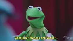 not-lonely-but-alone:  pyjamathyst:  sandandglass:    The Muppets s01e04     AHEM   Guys that’s gay 