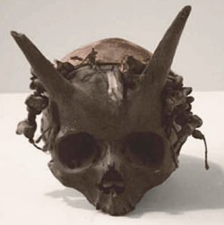 Several human skulls with horns protruding from them were discovered in a burial mound at Sayre, Bradford County, Pennsylvania, in the 1880&rsquo;s. With the exception of the bony projections located about two inches above the eyebrows, the men whom these