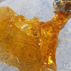 weedporndaily:  #NYDiesel by @moxie710 from @divinewellnesscenter #bho #hash #prop215 #weedporndaily #stayregular #superstoners by @therealwpd