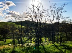 #shadows #darknlight #spring #eastcounty #antioch #contralomareservoir  (at Contra Loma Regional Park) https://www.instagram.com/p/Bva&ndash;FHnaLG/?utm_source=ig_tumblr_share&amp;igshid=qkhgxa59n36p