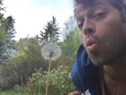 puppymish:  can we talk about this bc misha is outside at this very moment wearing a dumb blue hoodie and his dumb purplish red shirt taking DUMB SELFIES w dandelions and making stupid pouty faces and theN SOMEHOW, Deciding that making a dick joke AND