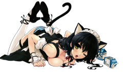 moon-kitten-kingdom:  Sexy neko maid  