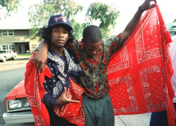 ghdos:  queenn-i-c:  britteryikes:  latelybeengivinnofucks:  Crips and Bloods truce 1992   My mom always tells me about the parties the bloods and crips would have together around this time and how powerful it was to see all of that red and blue together.