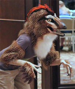 nambroth:  Last weekend I attended Anthrocon and it was pretty darn awesome. While I don’t consider myself a furry, I do enjoy realistic costumes, so I took the raptor mask I made (base/blank by: http://kierstinlapatka.tumblr.com/ ) and some gloves