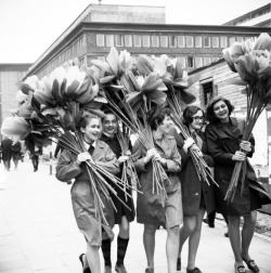 polish-vintage:  28th april 1970, Warsaw, Polish girls are preparing huge flowers for International workers’ day celebrations ( source: Archiwum fotografii Ośrodka KARTA | wiadomosci.wp.pl)