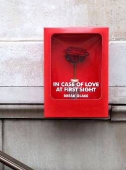 kawtharalhassan:  On the 14th of February 2014, They placed 1500 ‘In Case of Love’ emergency cases carrying a beautiful red rose throughout Paris in crowded, and well-known romantic area.