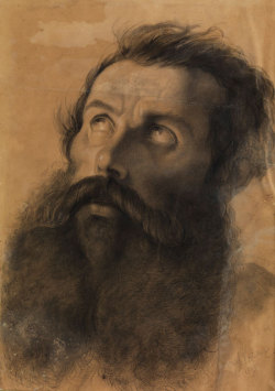 19th century artist, Head of a bearded man, 1883. Charcoal and pencil on brown paper, 38 x 27 cm.