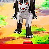 indyjholtzmann:  Favourite Pokémon by Type Dark Type↳ Mightyena Sprite Credit [x] 