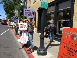 tlcplmax:  I took this photo in Petaluma earlier of these fucking assholes. This small business meat shop opened up a few weeks ago and these pieces of shit are protesting it. Gee, great work you fucking retards, I’m sure you’ll feel great stopping