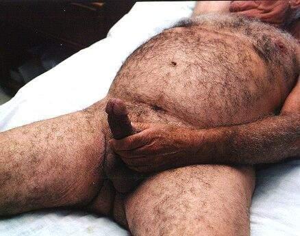 Hairy Daddy Gay