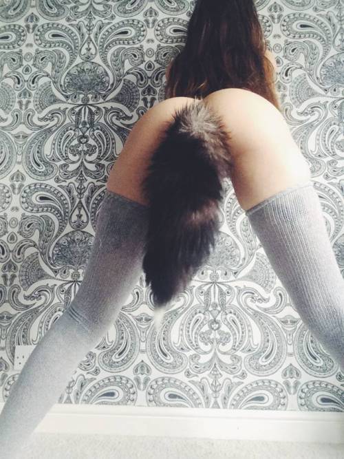 cherubesque:do you like my fox tail? twitter.com/cherubesque 👈 I’m posting all my nudes from tumblr back up on my twitter!hutt.co/cherubesque 👈 to see me masturbate it’s on sale! 😇 💕   instagram.com/cherubesque - my new instagram 